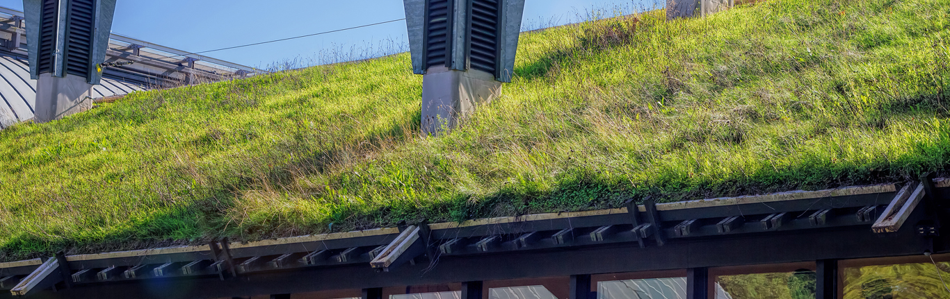 Grass roof sustainable building.