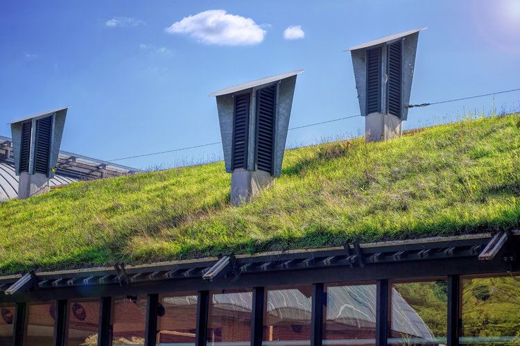 Grass roof sustainable building.