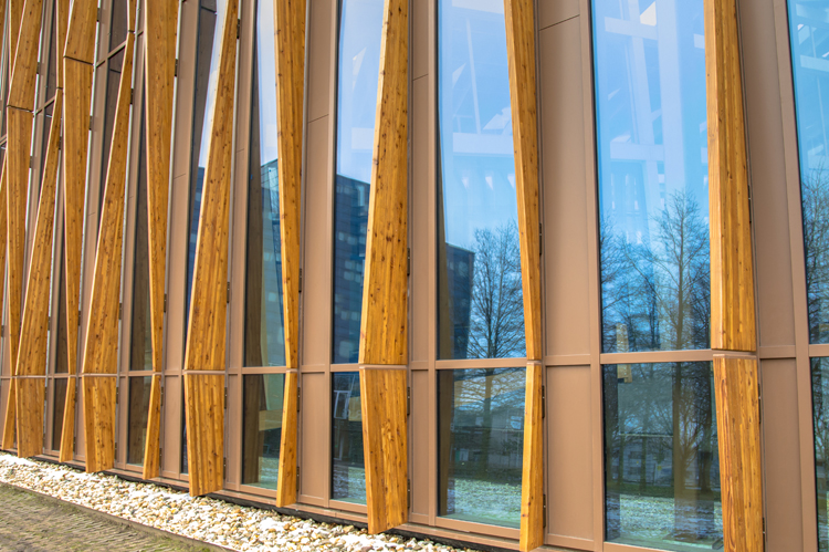 Sustainable wood/glass structured wall..