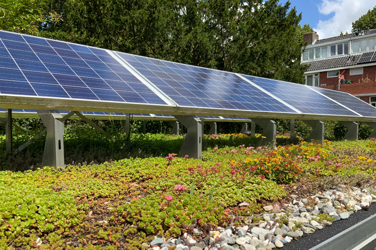 Solar panels sustainable energy source.