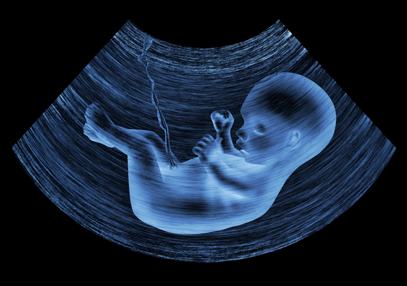Ultrasound of baby in womb.