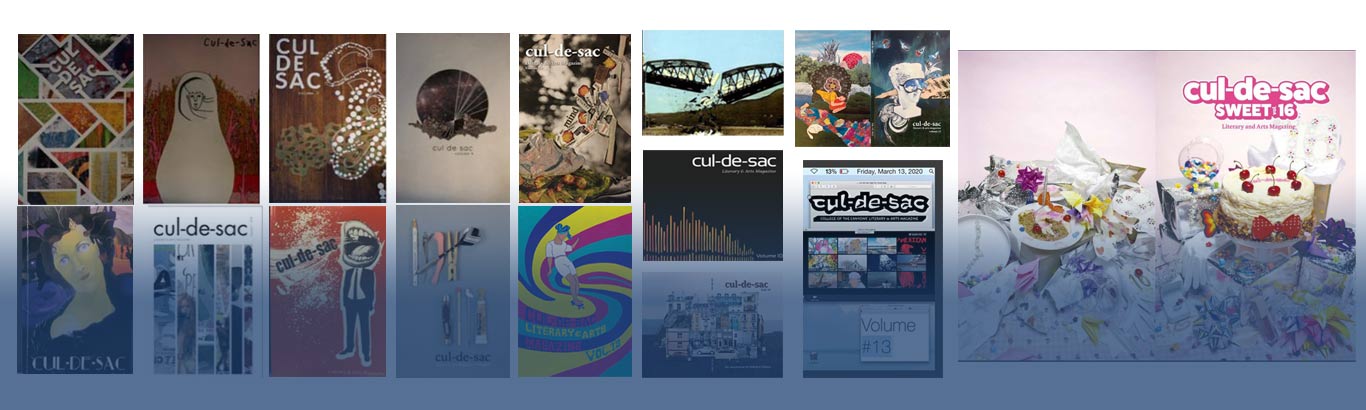 Cul-de-sac magazine covers