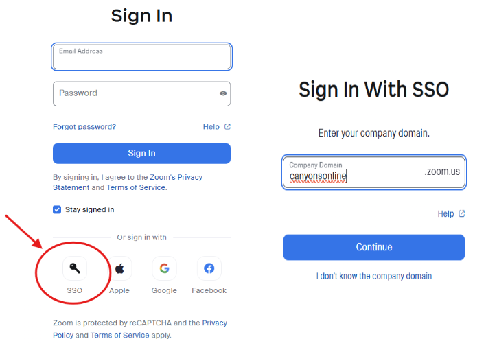 sign into Zoom with SSO