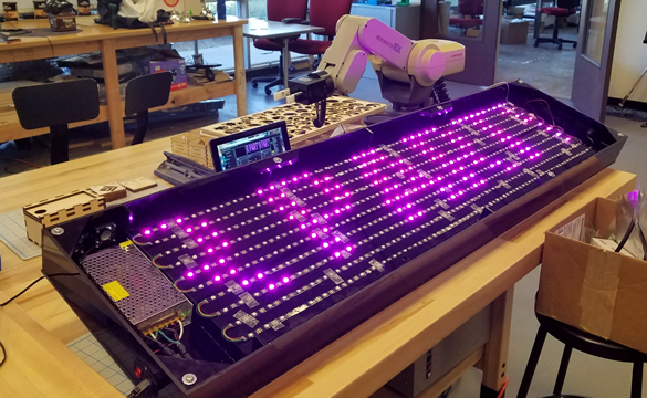LED board lit with fushia pink lights.