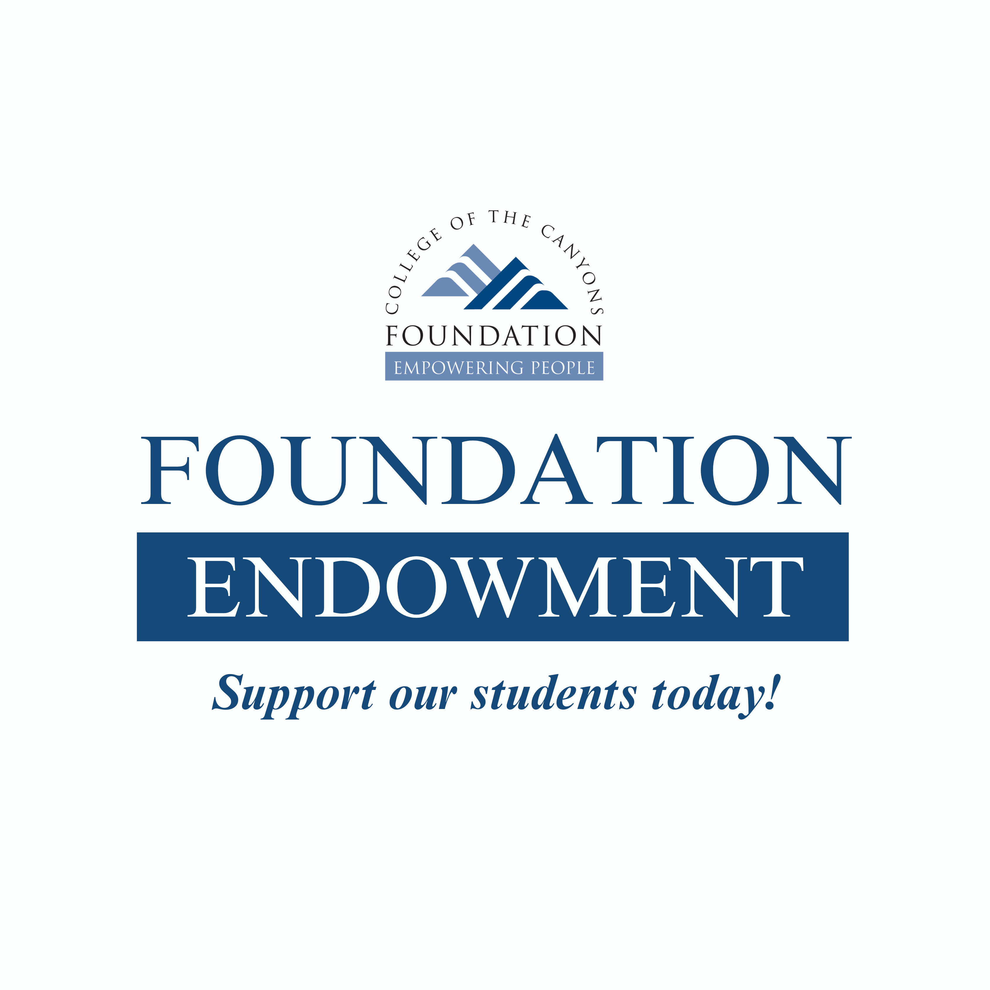 Foundation Endowment