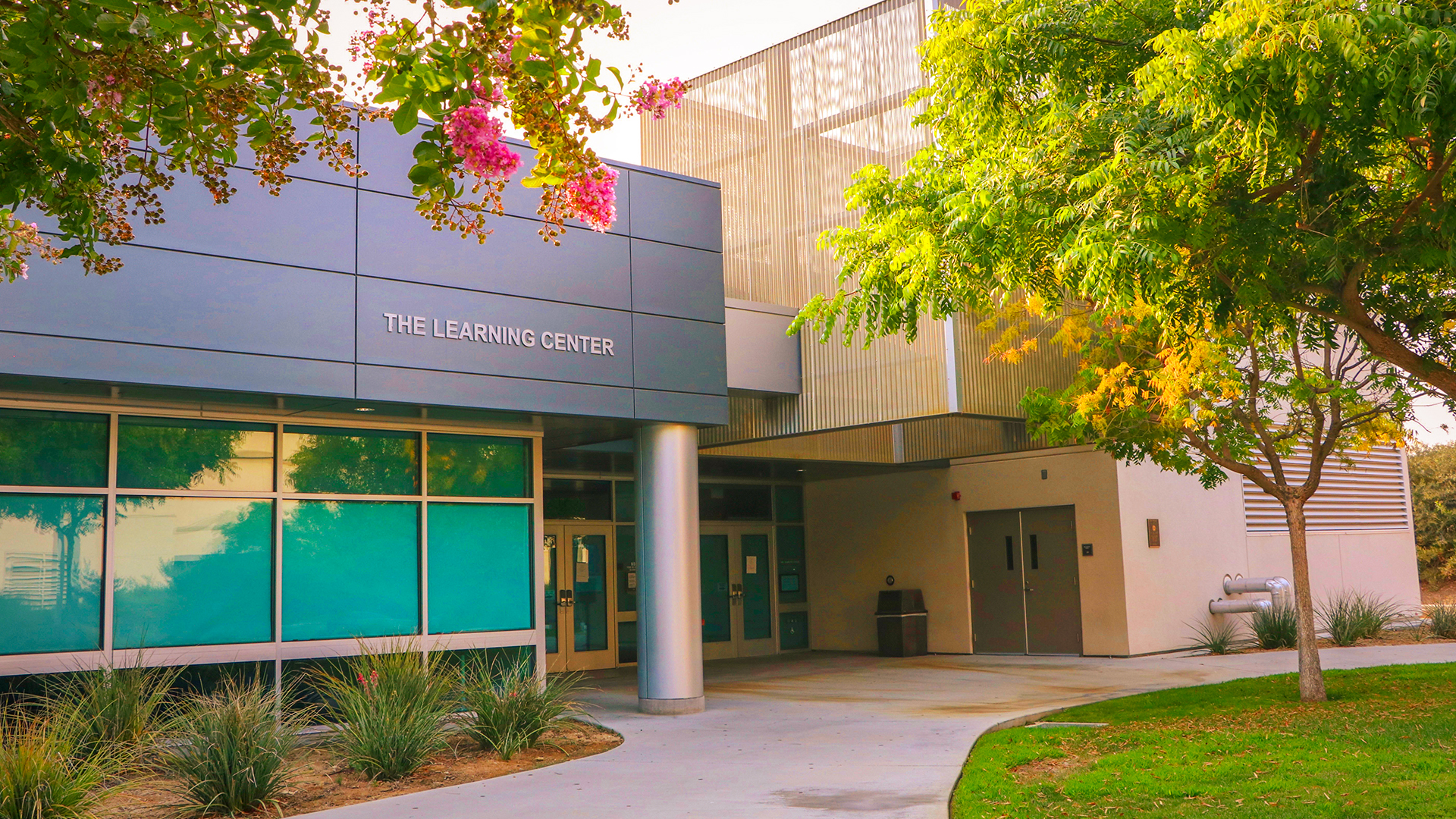 Exterior view of The Learning Center, featuring large windows and surrounding greenery.