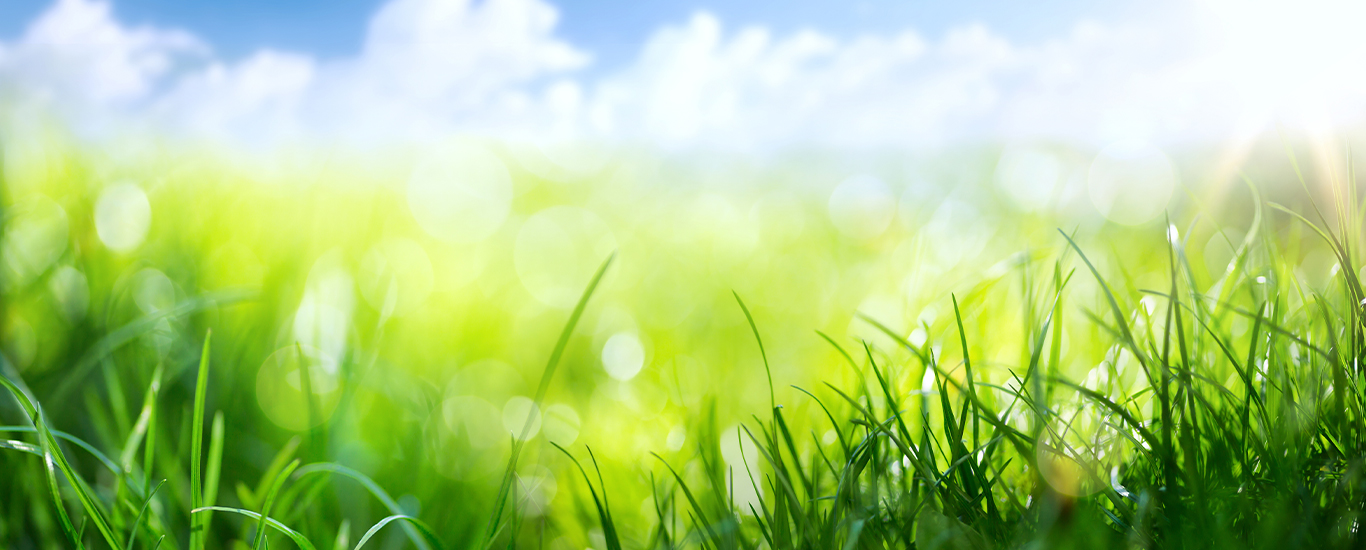 Illustration of springtime greenery below a scenic blue sky.