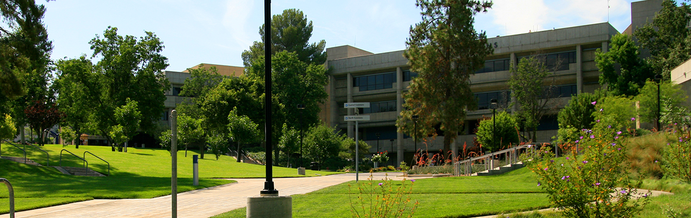 Honors Grove