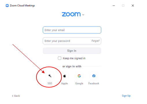 screenshot of zoom software