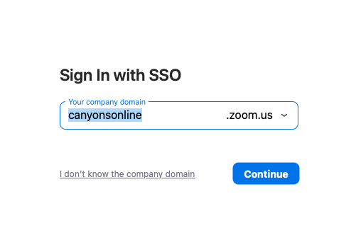 screenshot of zoom software