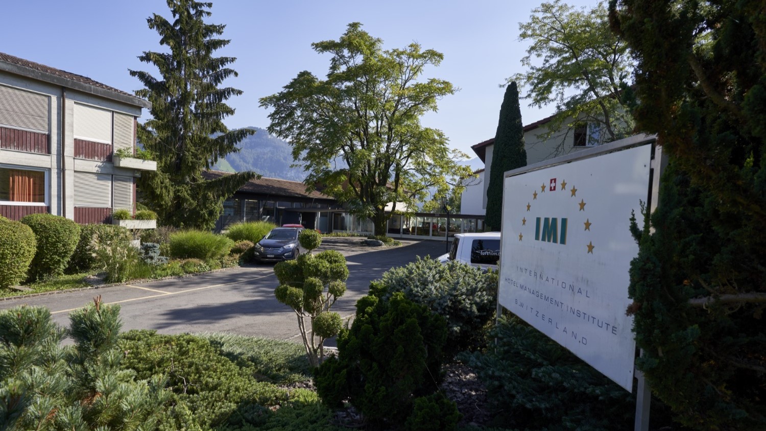 IMI